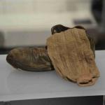 DSC_0094_00083 (June 24, 2023)